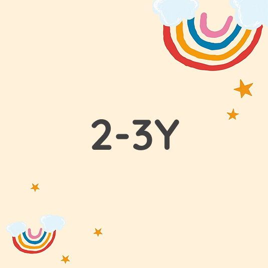 2-3Y